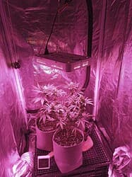IMG_20220422_195351