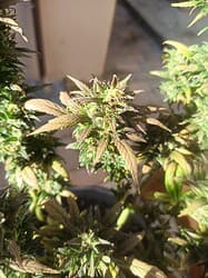 IMG_20220604_100425