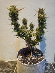 IMG_20220521_192328