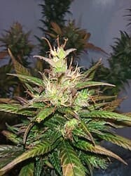 IMG_20220516_224458