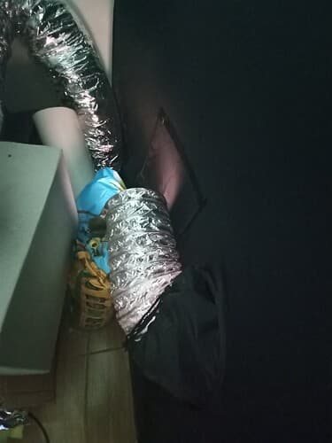 IMG20220329021151