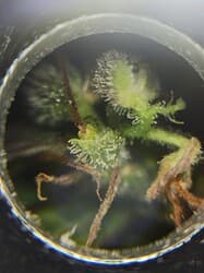 IMG_20220602_203958
