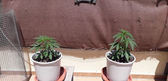 20240507_124237