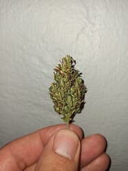 IMG_20220620_194841
