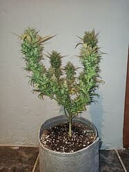 IMG_20220521_192344