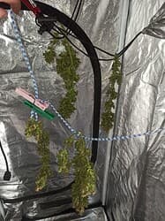 IMG_20220604_121248