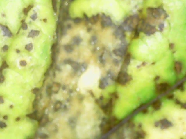 Tue Aug 06 10-04-11