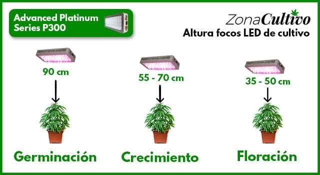Altura_focos_LED_cultivo_P300